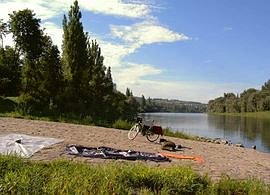 Rhein
bei/near Bad Bellingen
