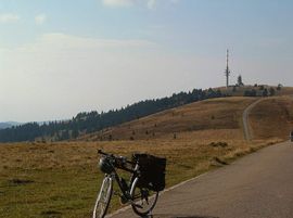 Feldberg