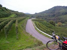 Kaiserstuhl
wine region Mount Emperors Chair near Freiburg