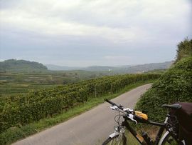 Kaiserstuhl
wine region Mount Emperors Chair near Freiburg