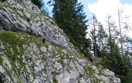 Falzsteig
Falz track