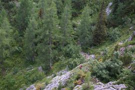 Falzsteig
Falz track