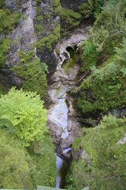 Eschenlaine
Asamklamm bei Eschenlohe
Eschenlaine creek
Asam gorge near Eschenlohe