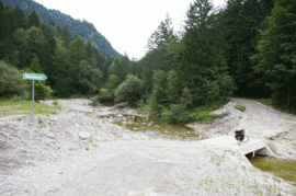 Eschenlaine
Weg zum Walchensee
Eschenlaine creek
path to Lake Walchensee