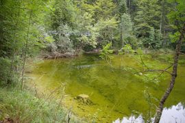 Eschenlaine / Eschenlaine creek
Wehr / embankment