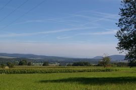 Pfirter Jura