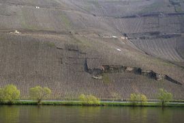 Mosel
bei/near Bernkastel