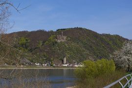 Rhein
bei/near St. Goarshausen
Burg Maus