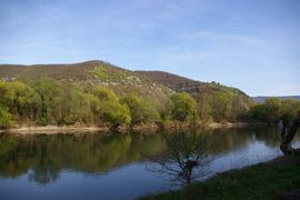 Rhein
bei/near Bacharach