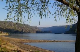 Rhein
bei/near Bacharach
