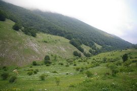 Vallone del Profluo