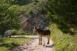 bei/near Monte Genzana