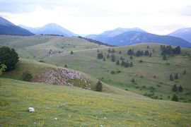 bei/near Monte Genzana