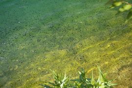 Gola del Sagittario
Lago San Domenico