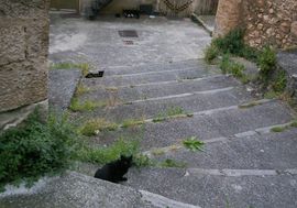 Navelli