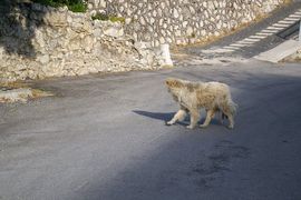 Castel del Monte