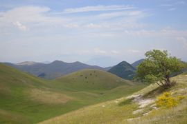 bei/near Sella di Monte Cristo
Maiella