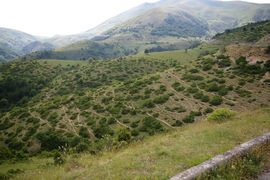 Valle del Vasto
bei/near San Pietro di Camarda
Colle della Croce