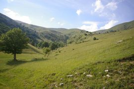 Valle del Vasto