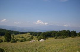 Prati di Tivo
Monti della Laga