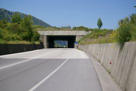 bei /near Celle di Bulgheria