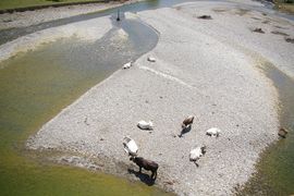 Fiume Mingardo