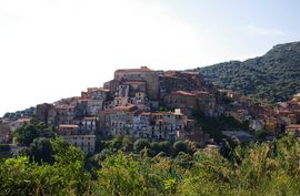 Pisciotta