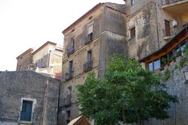 Pisciotta