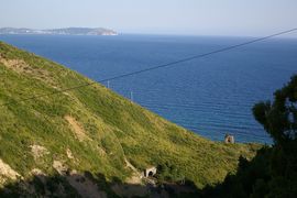 bei / near Ascea
Capo Palinuro