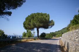 bei / near Casal Velino