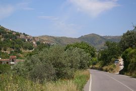 Montecorice