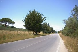 bei/near Castellabate