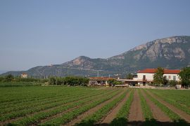 Santuario della Madonna del Granato