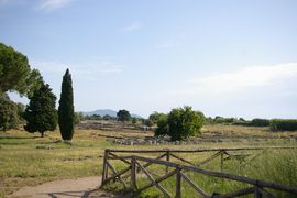 Paestum