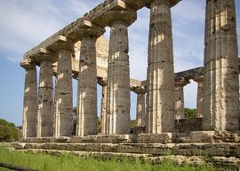Paestum
Tempio di Athena