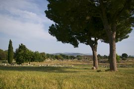 Paestum