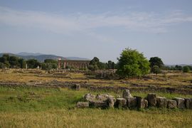 Paestum
Tempio di Netturno