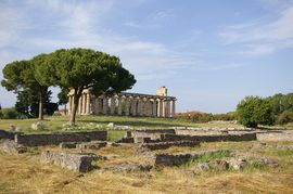 Paestum
Tempio di Athena