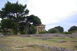 Paestum
Tempio di Netturno
