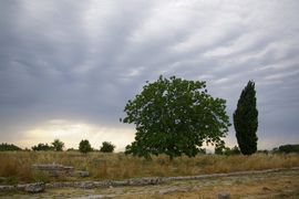 Paestum