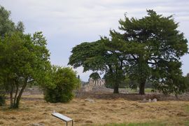 Paestum