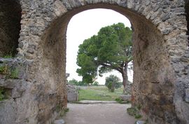 Paestum
Anfiteatro