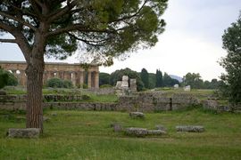 Paestum
Tempio della pace 
Tempio di Netturno