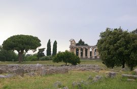 Paestum
Tempio di Athena