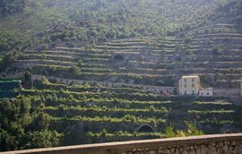 bei/near Cetara