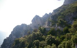 Capo d'Orso