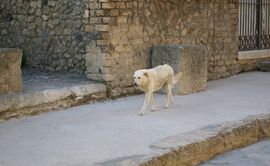 Pompei