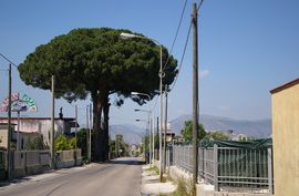 Somma Vesuviana