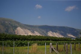 Agro Nolano