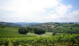 strada panoramica Colle di San Bartolo